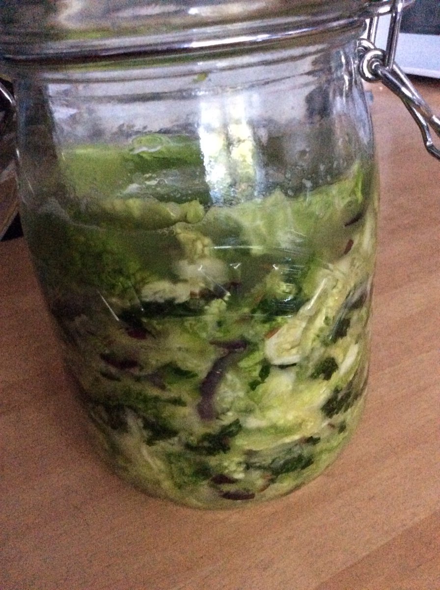 C_Veggie's tweet photo. All home grown kale, savoury cabbage & red onion turning into hopefully yummy sauerkraut
#fermentedVeg #HealthyGutDiet https://t.co/NhxVZhAPFi