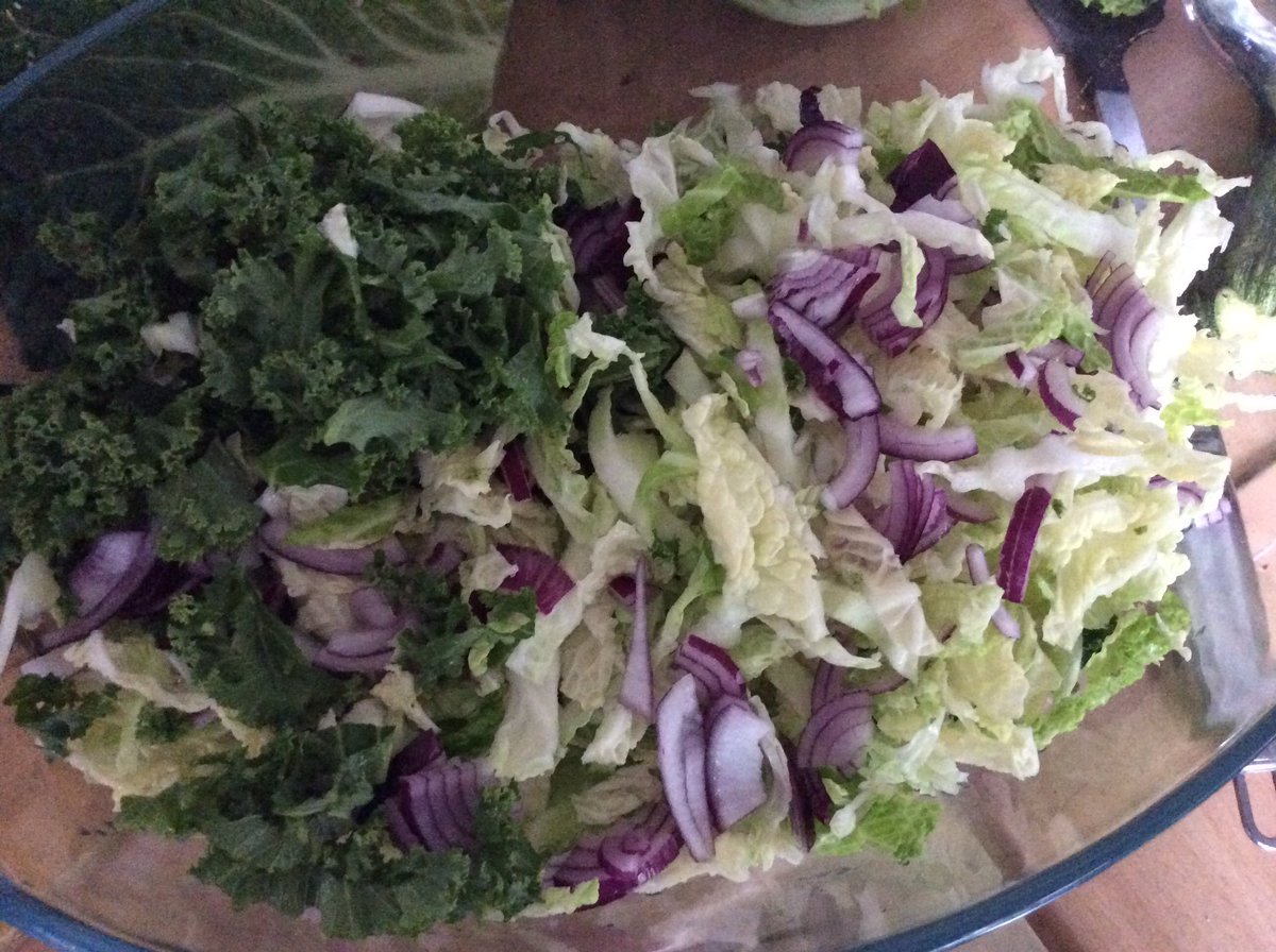 C_Veggie's tweet photo. All home grown kale, savoury cabbage & red onion turning into hopefully yummy sauerkraut
#fermentedVeg #HealthyGutDiet https://t.co/NhxVZhAPFi