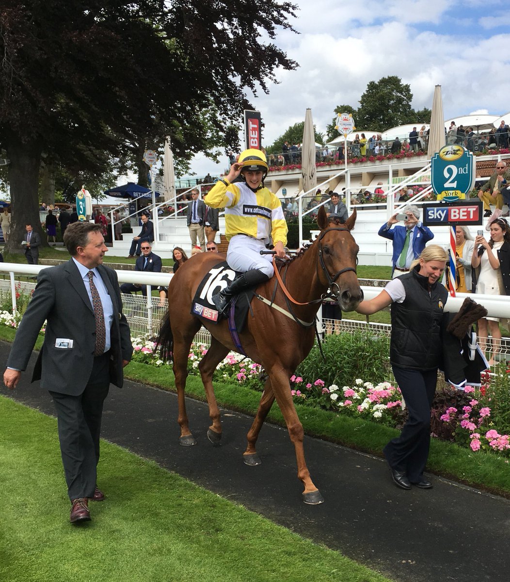 Jonathan Doidge tweet media