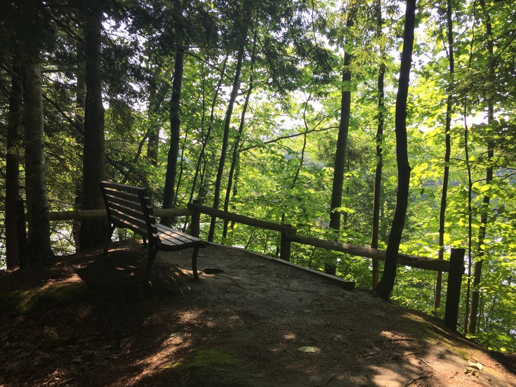 MontshireMuseum's tweet photo. Walk the River Loop trail to this bench with a view @MontshireMuseum #MigrationStation https://t.co/24U3NPmon9