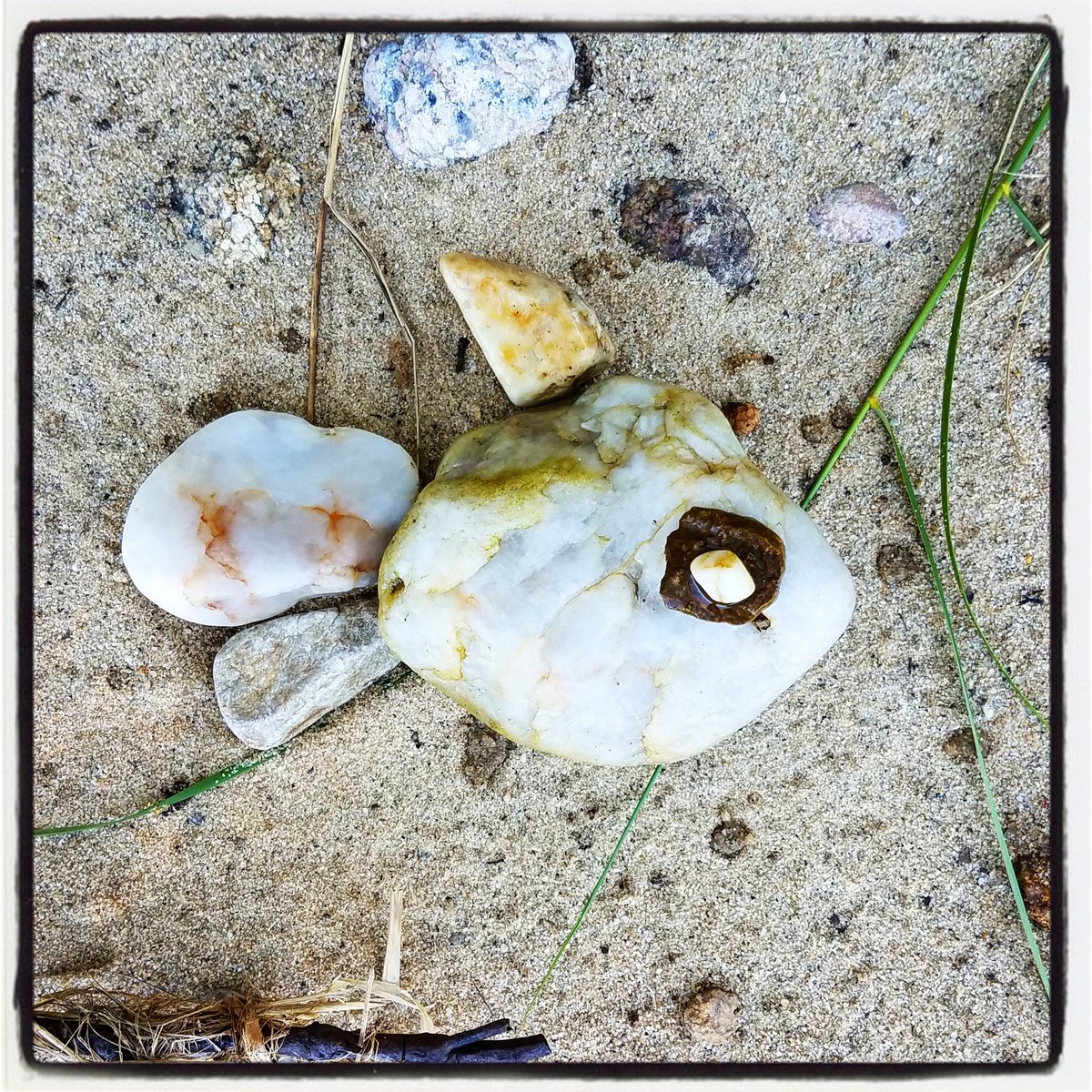 foundFISHheidi's tweet photo. SneakyFish
#foundfish #foundfishbuzzardsbay
Amrita Island, Pocasset https://t.co/cyW8DVy8Z7