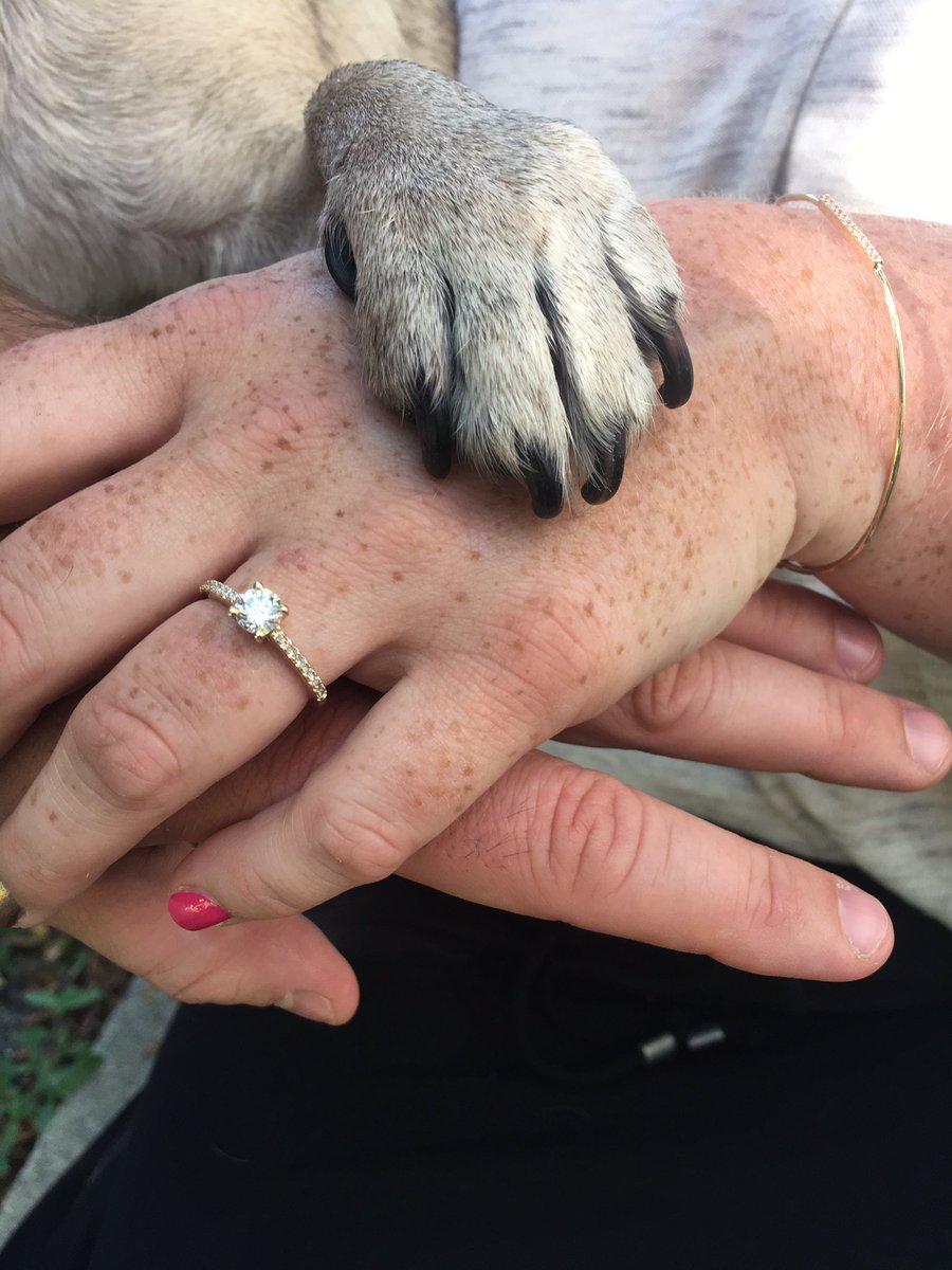 It's really happening! I'm my humans are getting MARRIED!