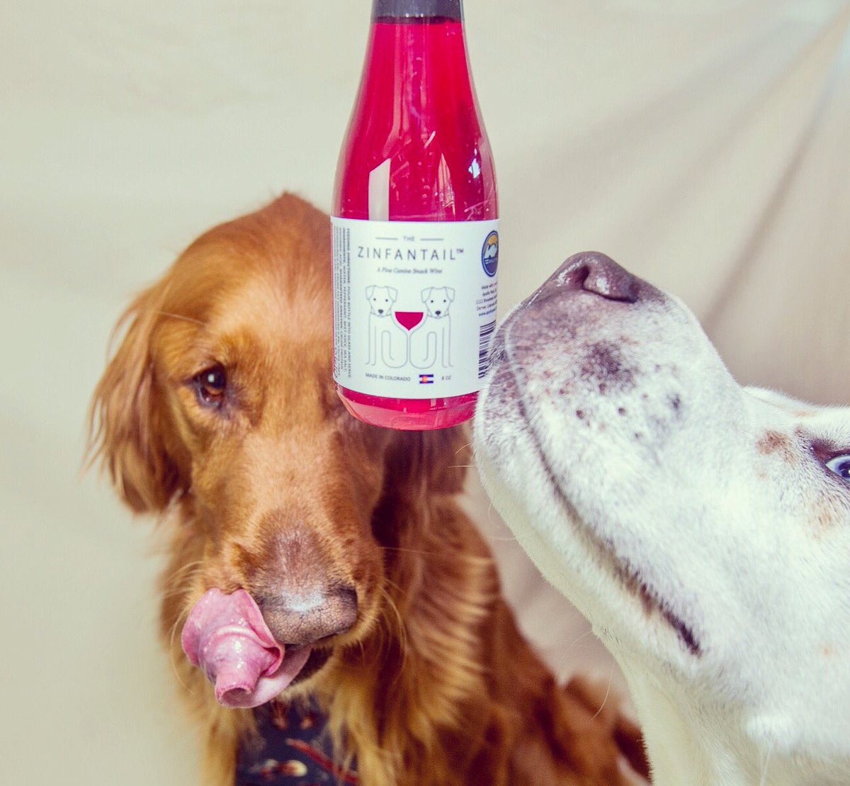 ApolloPeak's tweet photo. A special beverage for a special pup. #zinfantail #dogwine @ABCNetwork #sharktank #sharkweek https://t.co/MxXmPfoxNW