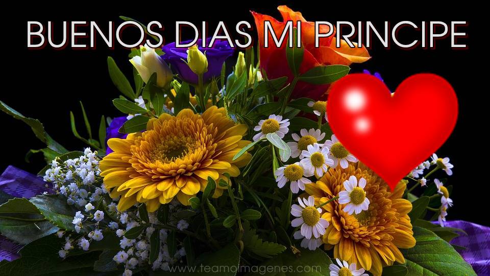 Frases para novios sur Frases para novios sur