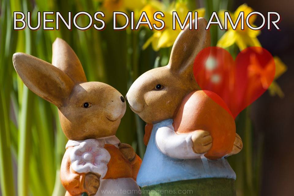 Frases para novios sur Frases para novios sur