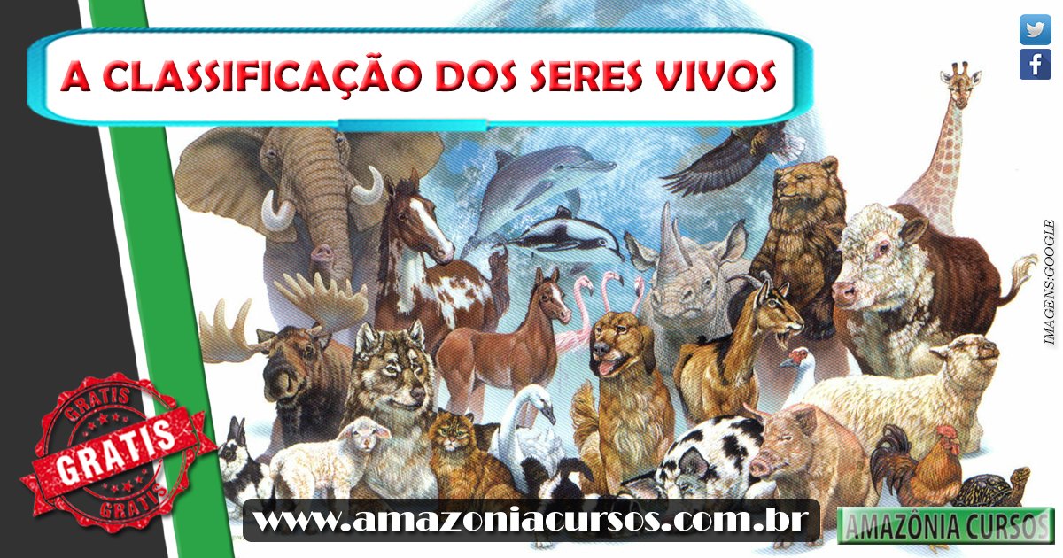 AmazoniaCursos's tweet photo. CURSO GRÁTIS SOBRE A CLASSIFICAÇÃO DOS SERES VIVOS.
Conheça sobre os #cursoscomcertificado do @AmazoniaCursos em https://t.co/ia1RUTzxTn https://t.co/BqljWGnRz8