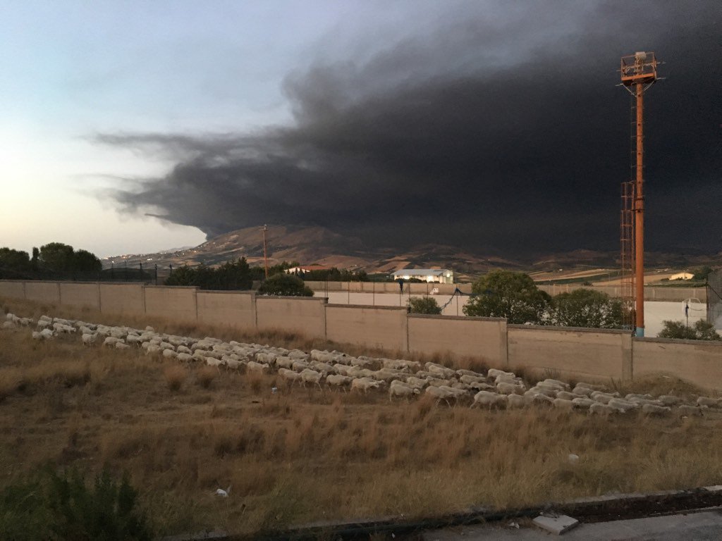MasoCalipari's tweet photo. #Incendio ad #Alcamo centro rifiuti, il geniale consiglio qual è? Chiudete le finestre... #Sasi #estate2017 https://t.co/SUGavi7hB7