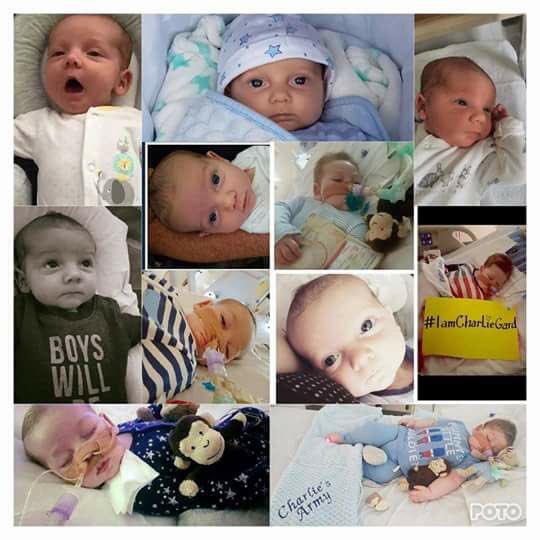The Charlie Gard Foundation tweet media