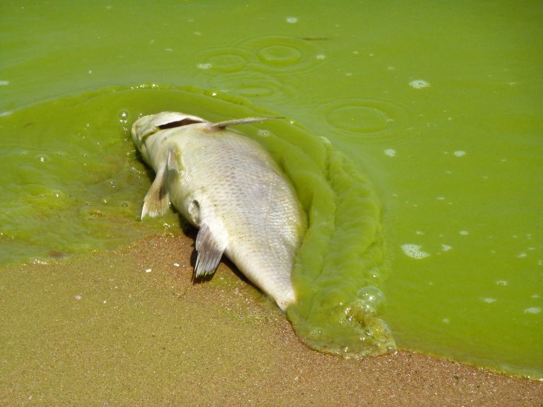 ClimateNexus's tweet photo. Climate change is wreaking havoc on our water https://t.co/MDsEPgbJEA via @grist https://t.co/N7e5NKBeWX