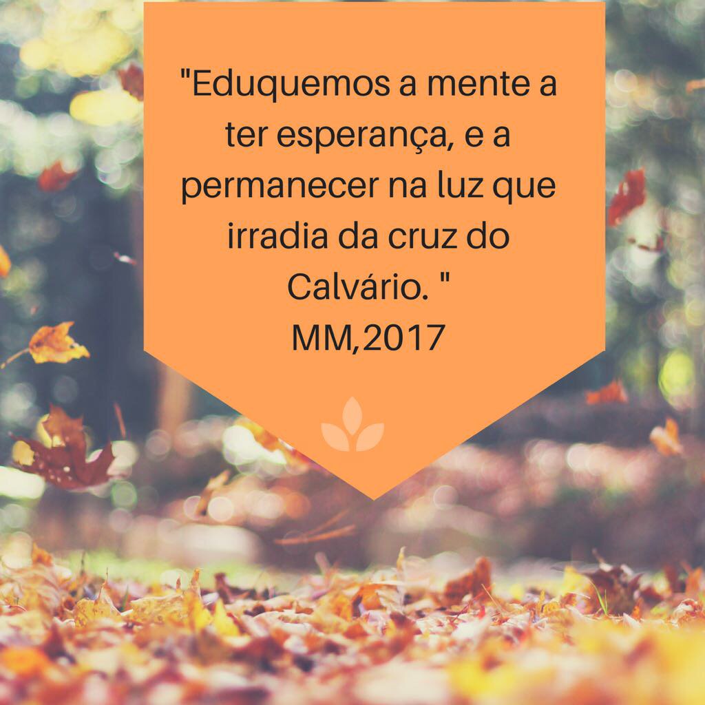 ErloBraun's tweet photo. https://t.co/Y2N90WwrA7