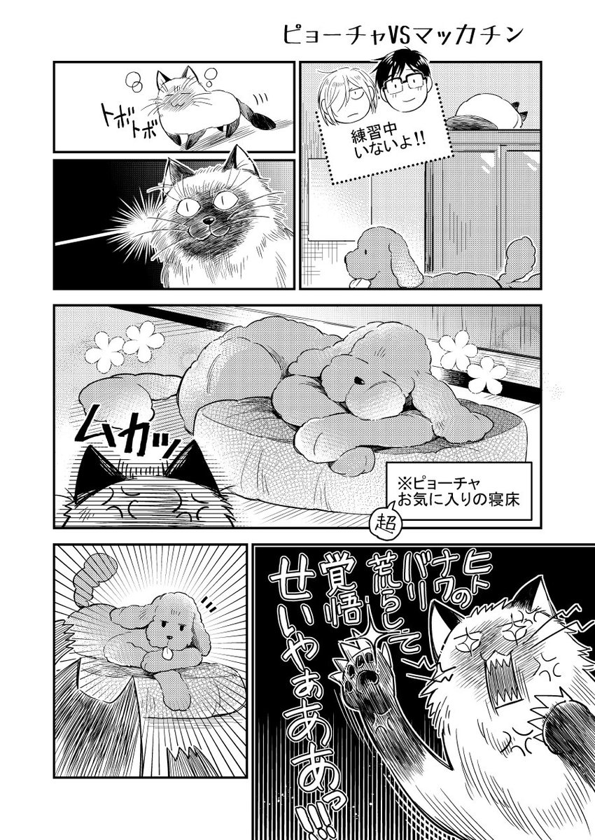 そして番外編でピョーチャとマッカチンの邂逅編を楽しく描きました 