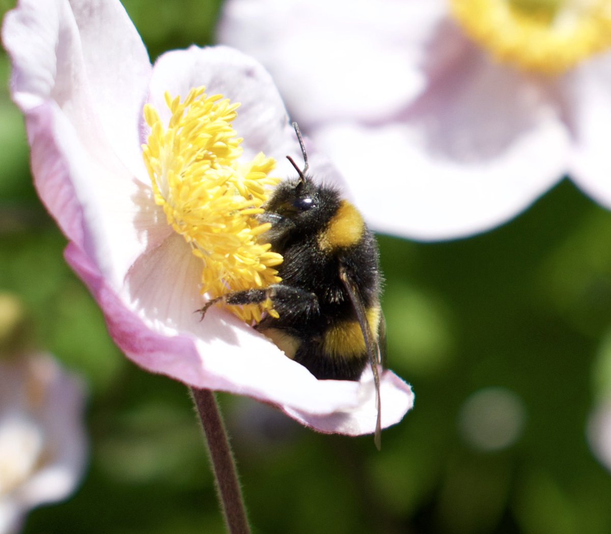 Karen Kelly tweet media