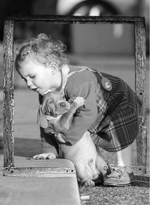 HAYATINDAN GÜN ÇALANLARA DEĞİL GÜNÜNE HAYAT KATANLARA DEĞER VER..🎭