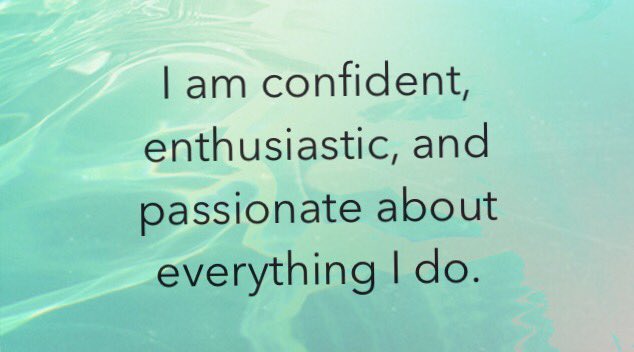 optimamabear's tweet image. 