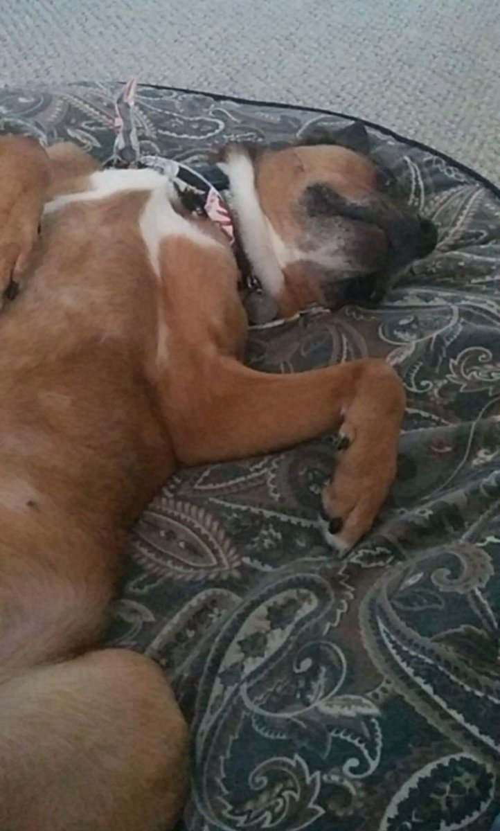 Waiting for mom to get home... fly faster!!