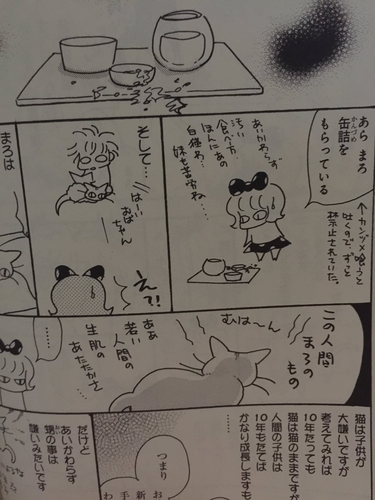 Tono Tonoちゃんのしましまえぶりでぃ 4巻ですが どこから読んでも面白い 猫日常本だから 是非によろしくお願いします Tono Tonoちゃんのしましまえぶりでぃ 4巻ですが どこから読んでも面白い 猫日常本だから 是非によろしくお願いします