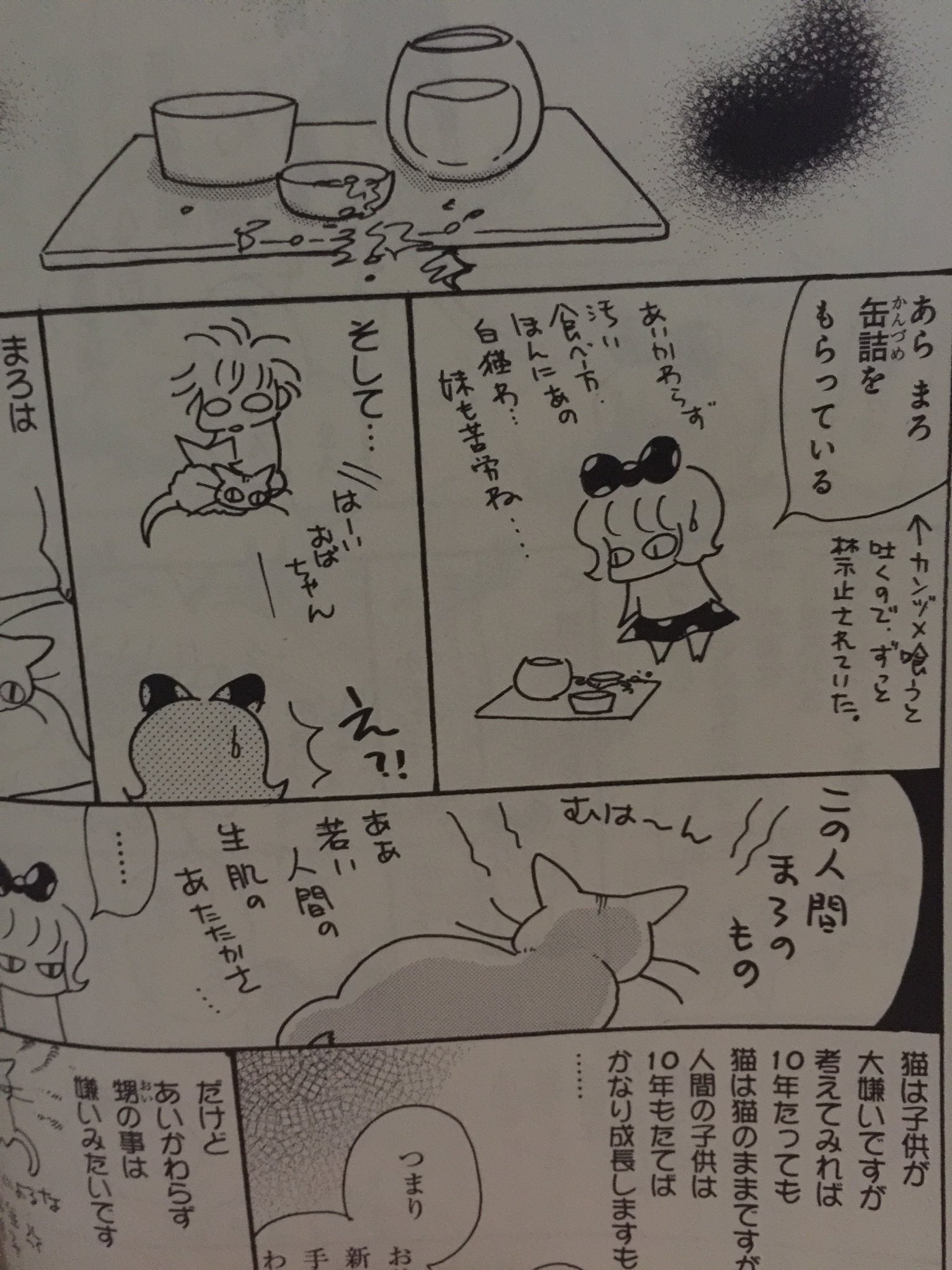 Tono Tonoちゃんのしましまえぶりでぃ ４巻ですが どこから読んでも面白い 猫日常本だから 是非によろしくお願いします