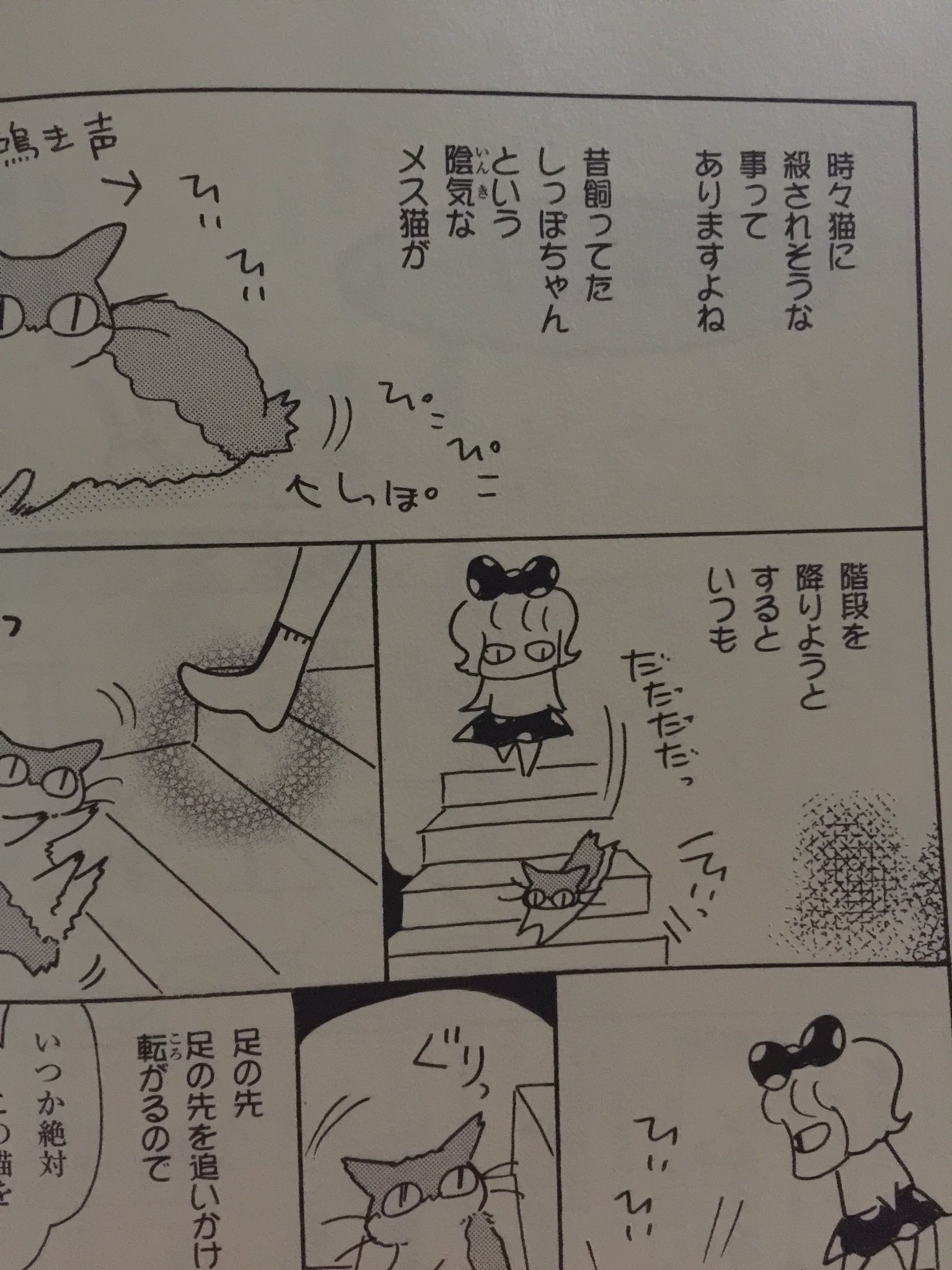 Tono Tonoちゃんのしましまえぶりでぃ ４巻ですが どこから読んでも面白い 猫日常本だから 是非によろしくお願いします