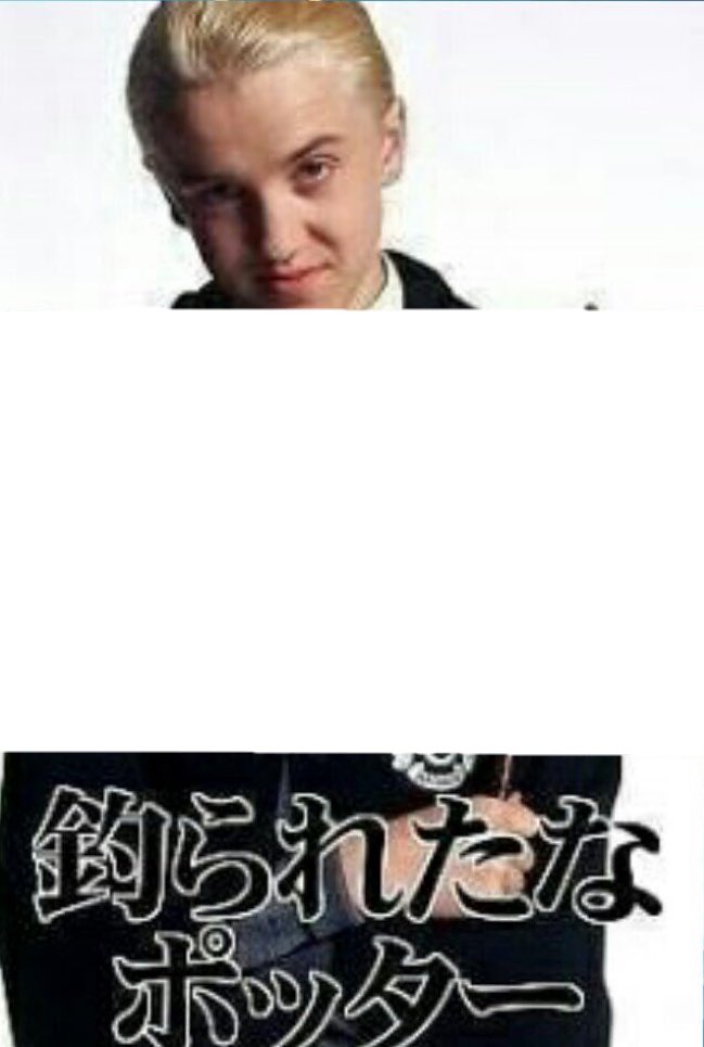 via on X: "#釣られたなポッター クソ素材出来ました。 https://t.co/OvYkhr5C84" / X