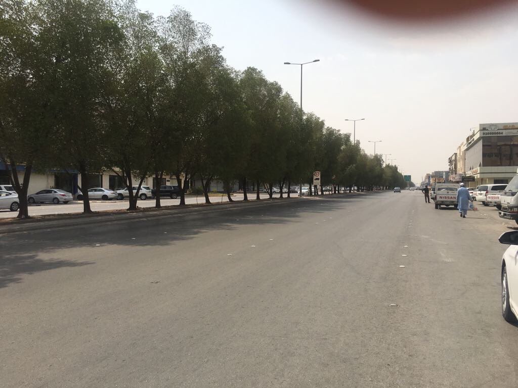 أمانة منطقة #الرياض تمنع قص الأشجار بهدف تقليل الأجواء الحارة  والتلوث وتلطيف وتنقية الهواء.