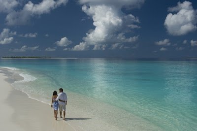 Your search for a professional and expert #divemaster for your next #scuba dive in #Maldives ends at maldivesdivingadventure.com.