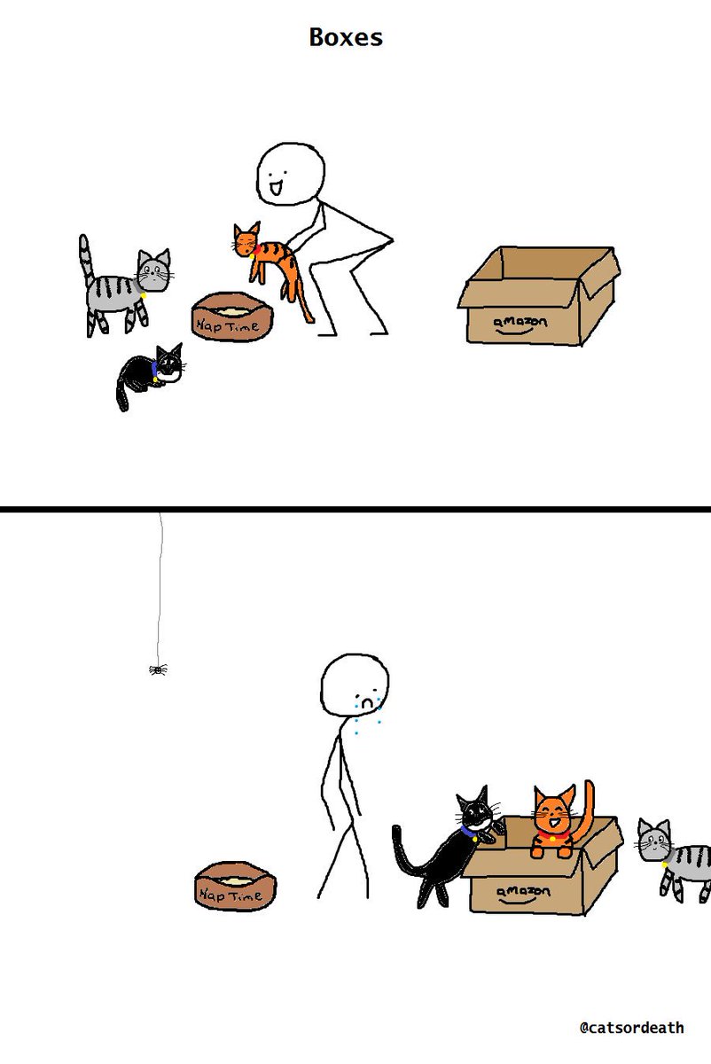 CatsOrDeathFML's tweet photo. Altogether now - "Ooh a box, boo a bed!"
#CatsOfTwitter #CatBoxSunday #fml https://t.co/vNZANqlhHC
