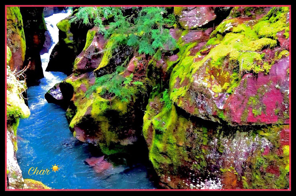 CharFlorida2's tweet photo. Slow down and savor
all the rich colors of life
๐ฆ๐๐ฆโค๏ธ๐ฆ๐๐ฆ๐๐ฆ
#GlacierNationalPark
#AvalancheCreek
#ColorOfTheSea
#Camera #WarmingFilter https://t.co/y9TJXEYEvp