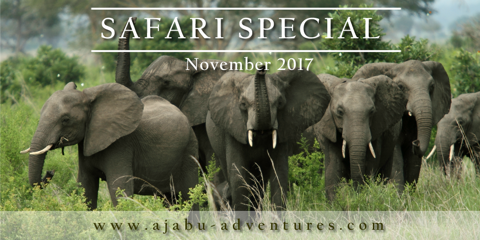 Ajabu Adventures tweet media