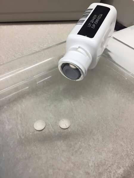 This isn't over. This isn't over UNTIL I say it is over. Prepare for war, Synthroid.