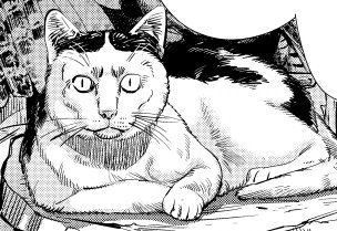 ゴールデンカムイ 公式 ゴールデンカムイ質問箱 A 025 野田先生より オスです 野良が江渡貝くん の家に入り込んでいたので年齢は不明です 江渡貝くんは 猫 と呼んでいたと思います 自分も昔 実家で猫を飼っていたんですが 家族が誰も名前をつけ