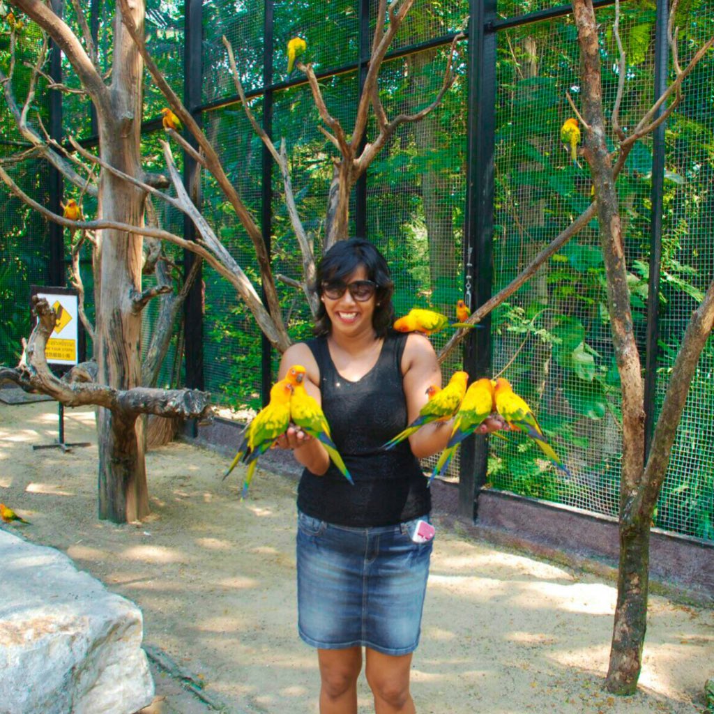 Gulaaabi's tweet photo. Those birds loving the new chick😜..Pecking me with love ❤️ 😂#NewProfilePic #DPStory https://t.co/ftWcRyFBEe