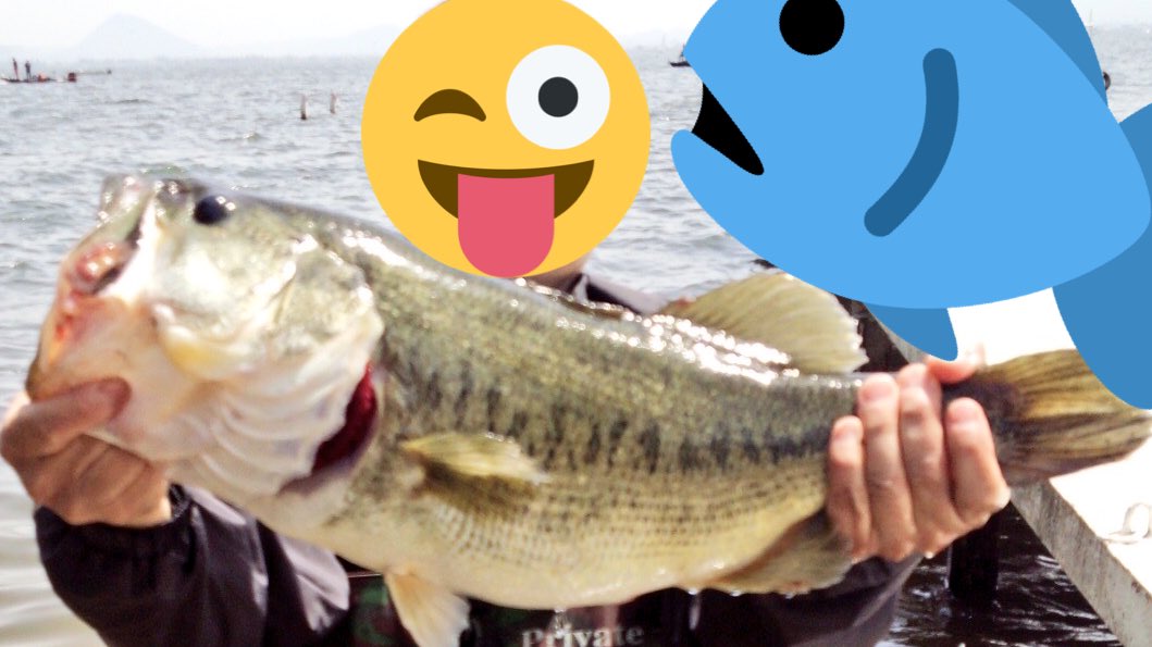 まどやん 南湖に通いってます 自己記録64 夜釣りとウェーディングがメインです 名古屋から南湖まで国道1の下道で通い中 往路は 南湖情報交換しませんか バサー バス釣り ウェーディング テクトロ 琵琶湖 琵琶湖南湖 琵琶湖西岸 釣りおやじ