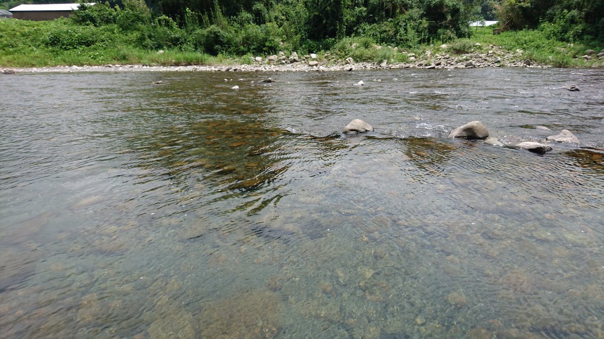 なつのまろ tweet media