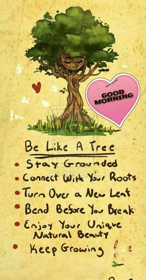 MercuryTwin's tweet photo. @07butterflies1 @SK8sandhu @Rksandhu88 @khelzz220 @anigowda143 @elle_del68 @mlauris16 @jumafesi56 @Chadsit @ElieBautista @GleidePortela https://t.co/j2xeG11ysX