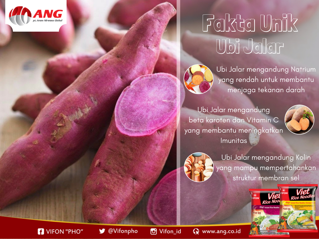 VifonPHO's tweet photo. Ubi jalar sangat baik dikonsumsi bagi anda yang sedang berdiet.  Selain itu kandungan vitamin c dan beta karoten dalam ubi jalar juga tinggi https://t.co/pG3I92GYRS