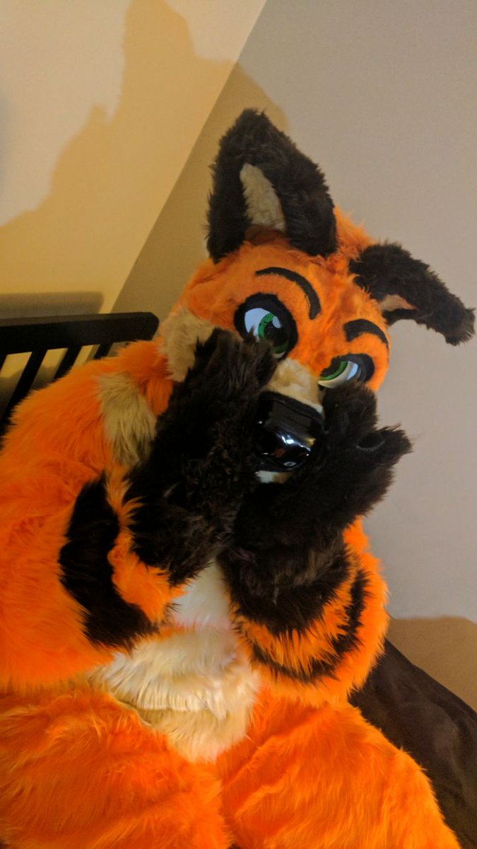 coreyfoxbutt's tweet photo. Some new fuzzy photos taken by @TheFurryFelon head made by @RumWolfStudio body suit by @NepentheSSMB thank you all. https://t.co/tQHUEkT8dg