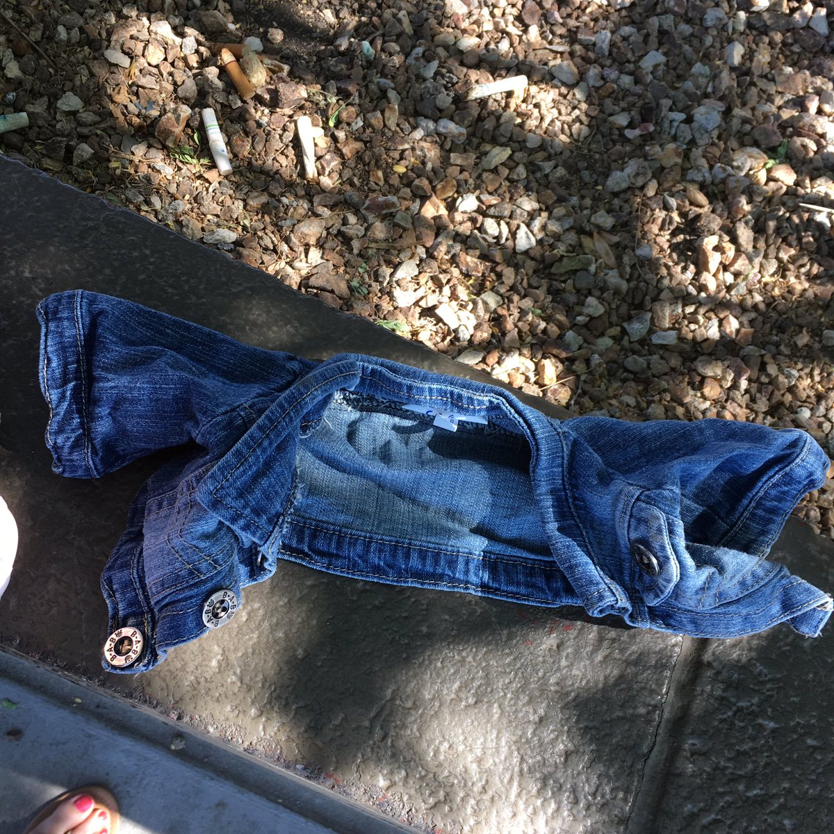 stina1123's tweet photo. Someone's doll lost her denim jacket at the mall today...so sad. 😔 @tomhanks #lostjacket https://t.co/aM6cCJPoWL