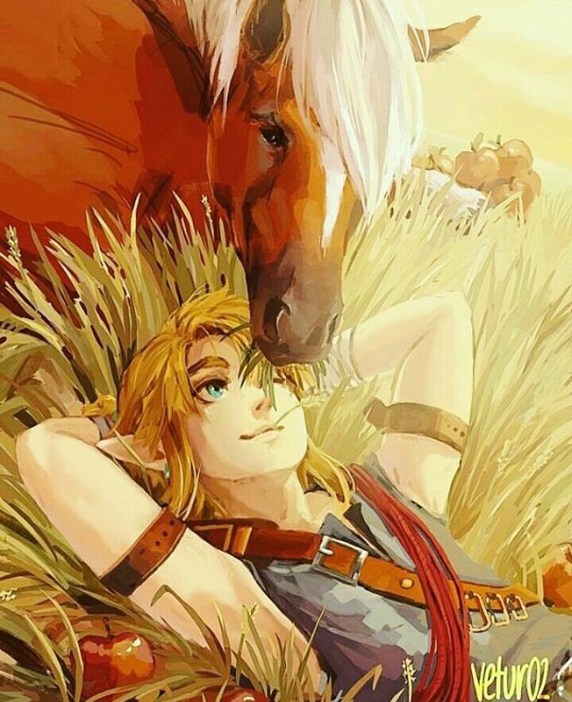 Hyrule___Link's tweet image. Epona and Link