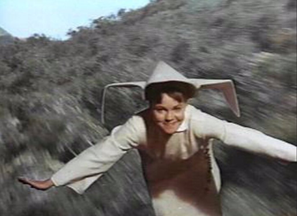 Says I would look like the flying nun. 