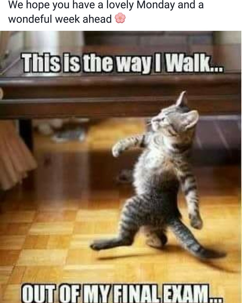 TheStudyLine's tweet image. Keep your eye on the prize, it will all be worth it.

#Tutor #Tuition #Study #Unisa #Graduates #College #Students #Degree #Honours #Masters