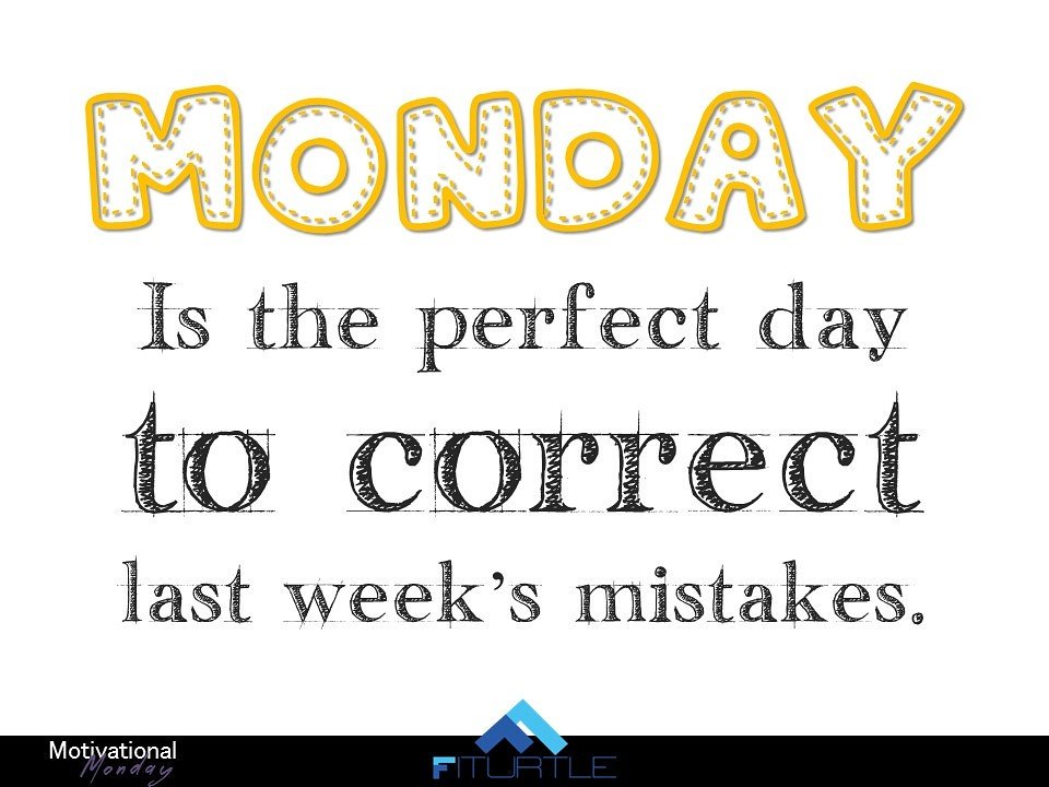 FiTurtle tweet media