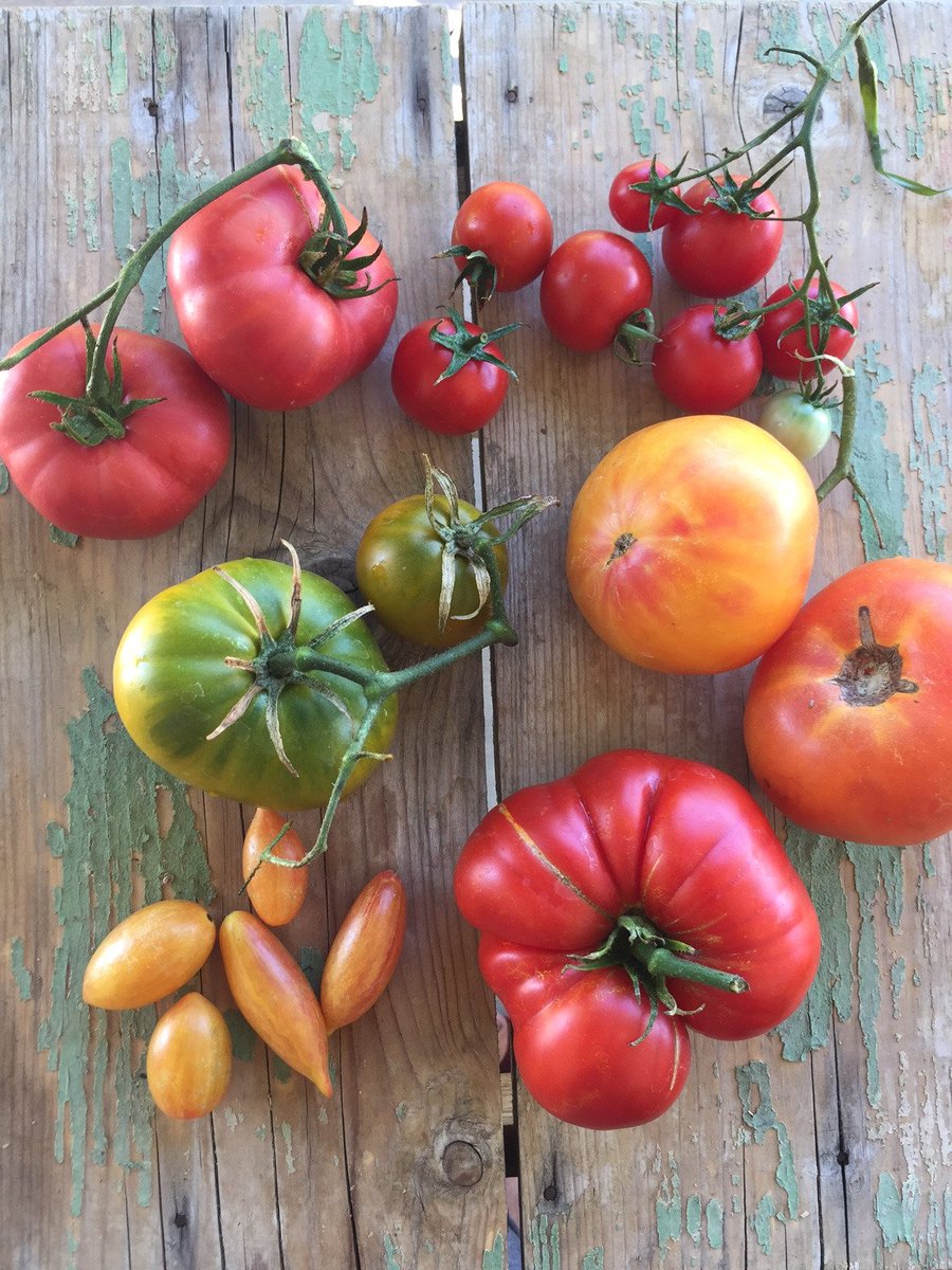 The season rallies on...instagram.com/p/BXMxIOVjsGQ/…