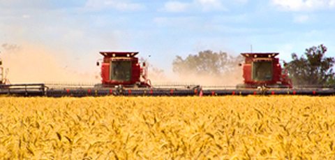 ANZ_bluenotes's tweet photo. How @CultivateFarms are innovating Australia’s #farming future https://t.co/j84RZbqcjS @sammarwood https://t.co/PnRrCIthKF