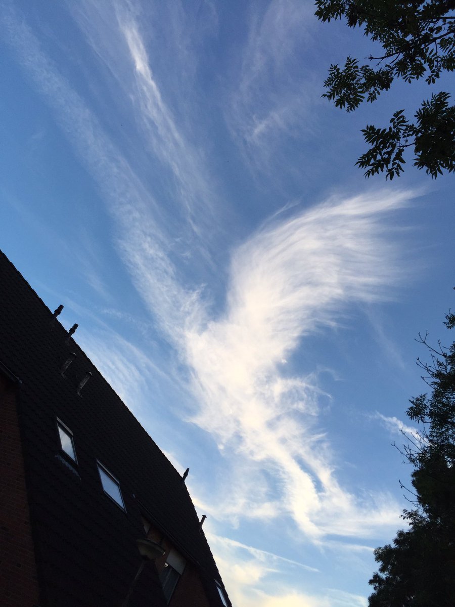 A wild Articuno apeared #pokemongo <a href="/NianticLabs/">Niantic</a> <a href="/PokemonGoApp/">Pokémon GO</a> <a href="/MYSTIC7/">MYSTIC7</a> <a href="/trnrtips/">Nicholas Oyzon</a> <a href="/ReversalYouTube/">Follow @REVERSALx7</a> #Zwolle  #Netherlands