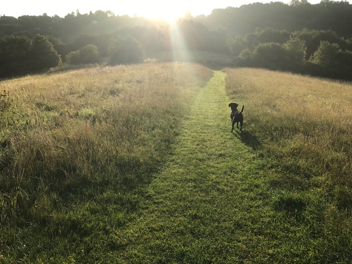 Rebecca Corke tweet media