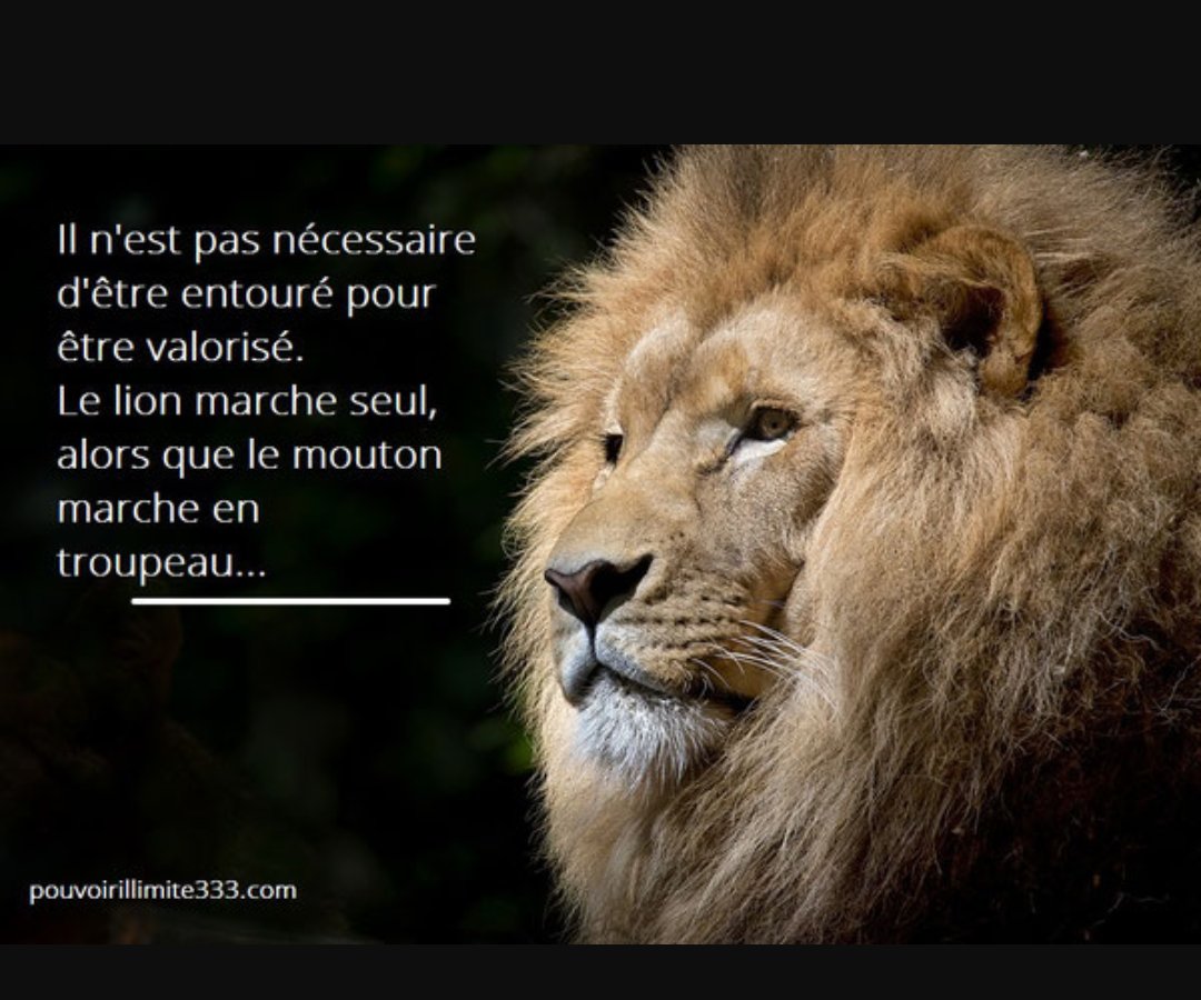 Brahim Thiam Bonjour Buenos Dias Salamakeykoum Bom Dia Aw Ni Sogoma Nagadef Salute Chalom Hello Je Vous Souhaite De Passer Une Tres Bonne Journee T Co T71fmwk4 Twitter