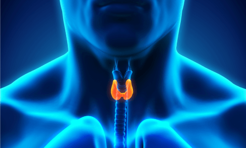 MNAdvisor's tweet photo. Why are Women more likely to have Thyroid Problems? https://t.co/mF1DNFNOMP #ThyroidProblem #thyroidcauses #Thyroid #MyNutritionAdvisor https://t.co/9iW4OMLLja