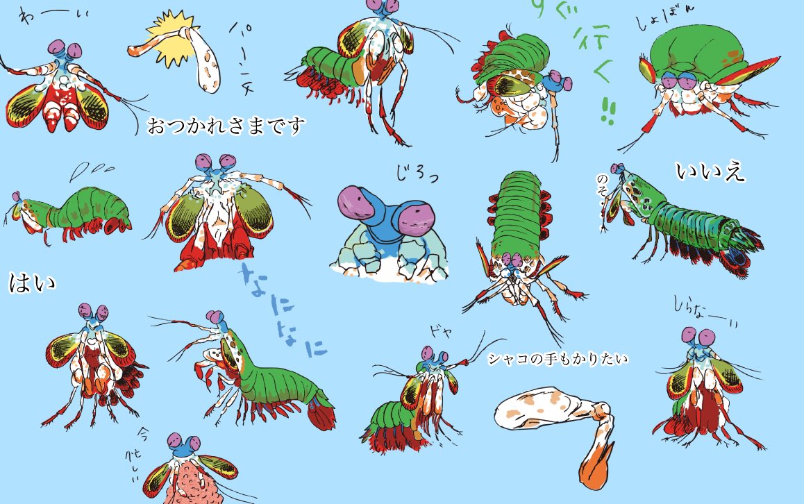 さめこり 甲殻類モンハナシャコ Lineスタンプ 1円 T Co H8gjw6kafk モンハナシャコのスタンプがなかったのでつくりました T Co 4km7gfh44y Twitter
