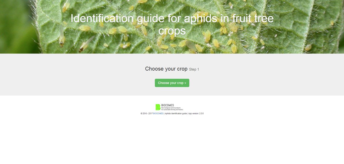 biocomes's tweet photo. Our Aphid Identification Guide is improved. Added: a glossary and  several pictures of aphids symptoms &amp; colonies https://t.co/zby2kAsc1Q https://t.co/JQYxOmtgZX