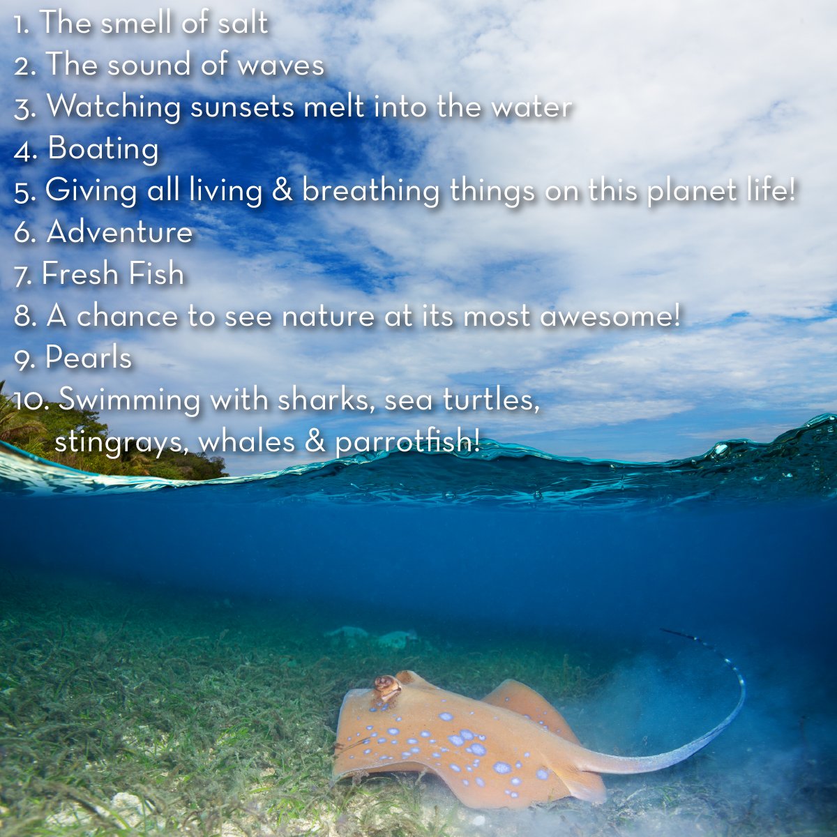 SailorsforSea's tweet photo. 10 reasons to be thankful for the ocean! RT to give the ocean some love this #MondayMorning! #TeamOcean https://t.co/G5wQh02WaY